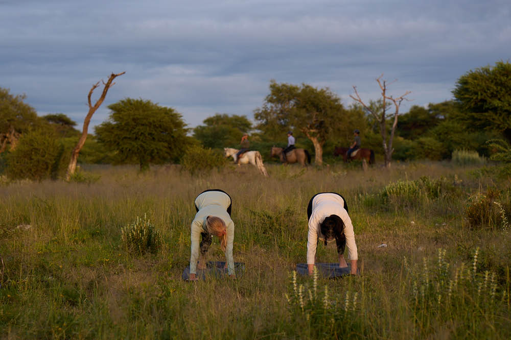 yoga and riding safari