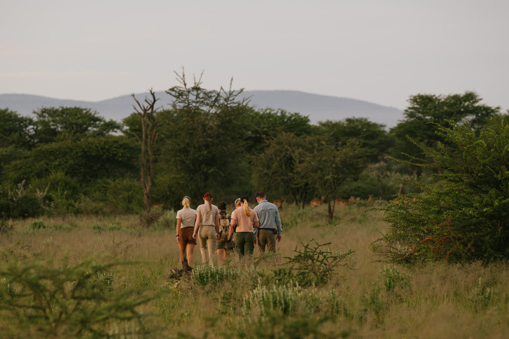 safari in namibia - hiking and game drives in africa