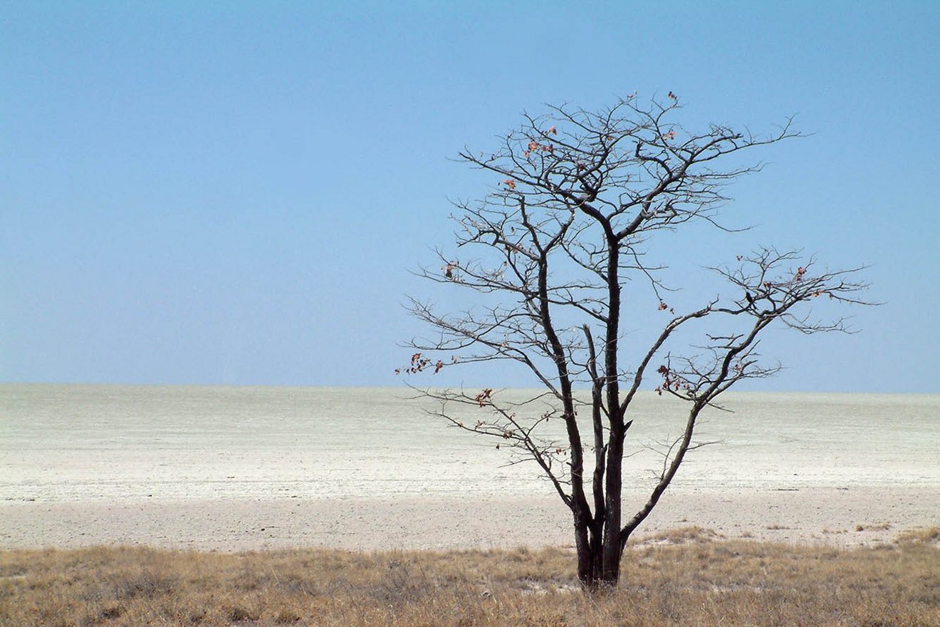 Kambaku-Tours-Etosha3