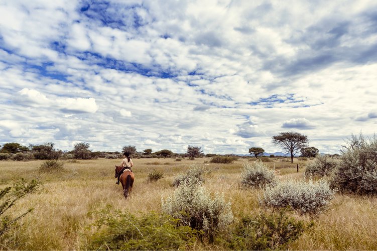 Kambaku-Reitsafari