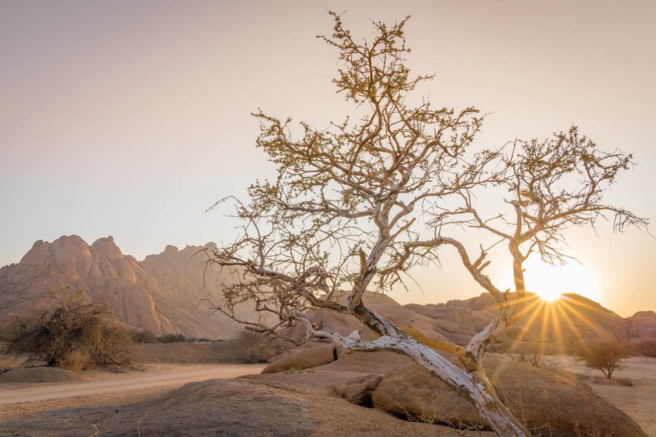 Kambaku-Damaraland-Spitzkope