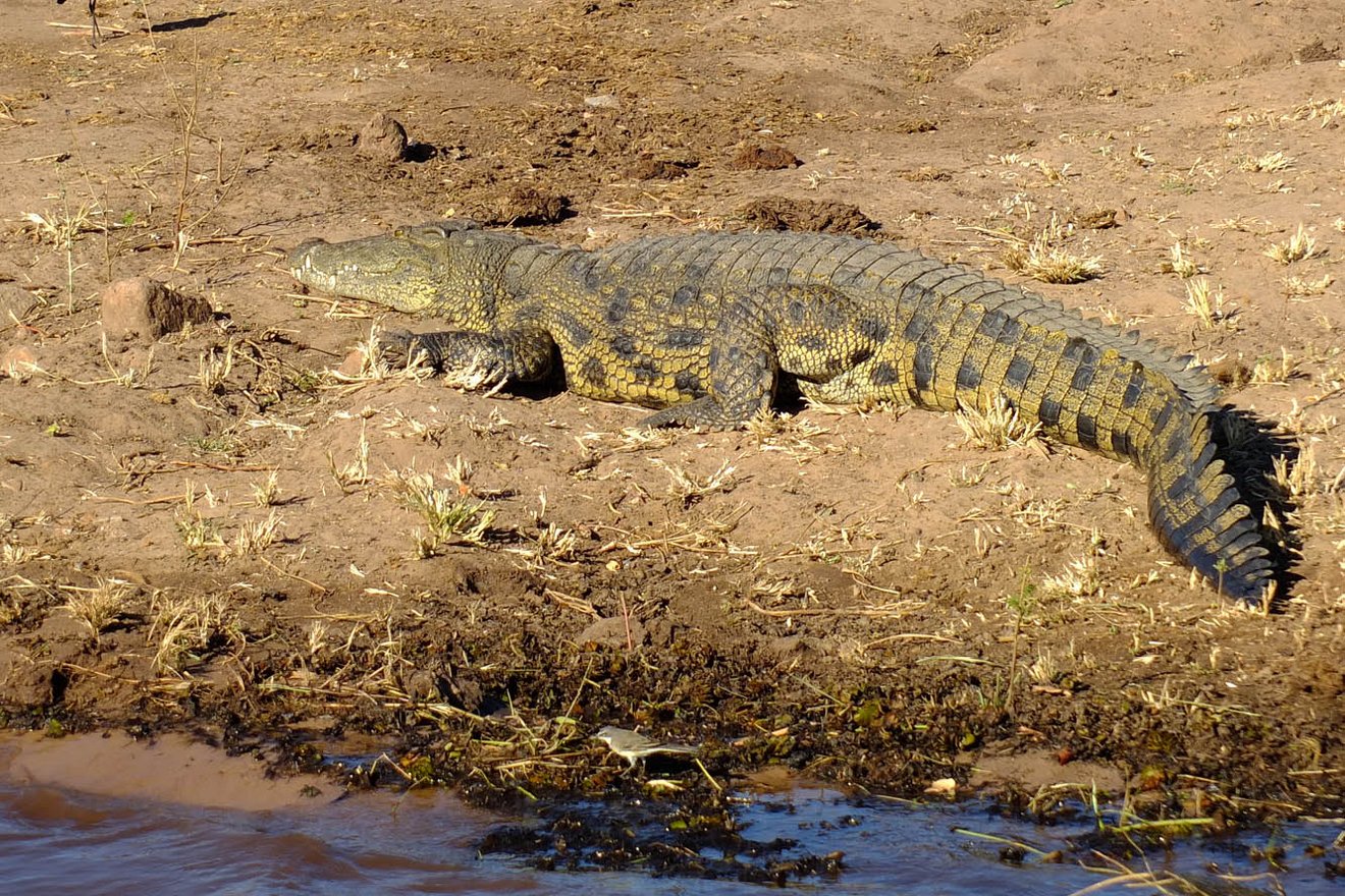 Kambaku-Tours-Caprivi3