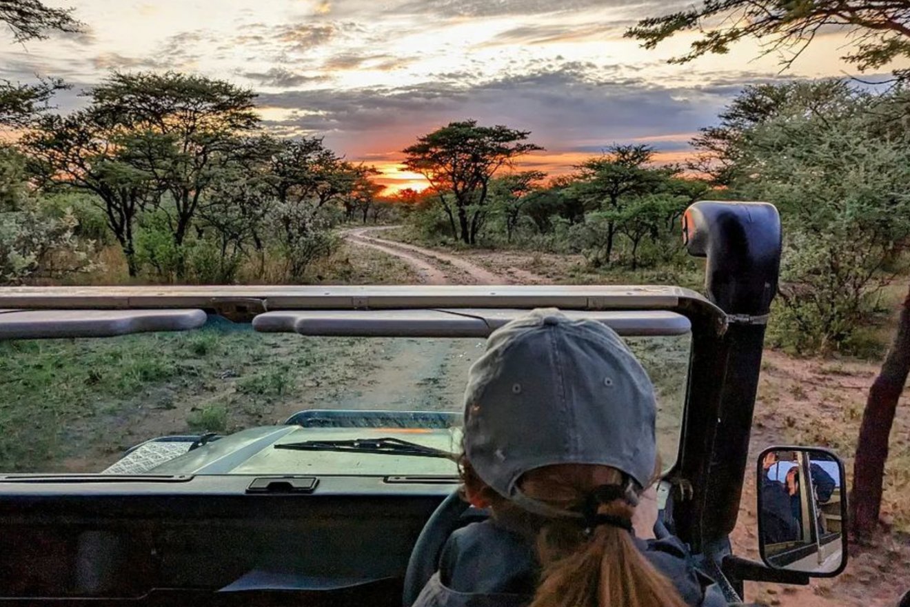 experiencing africa on safari rides
