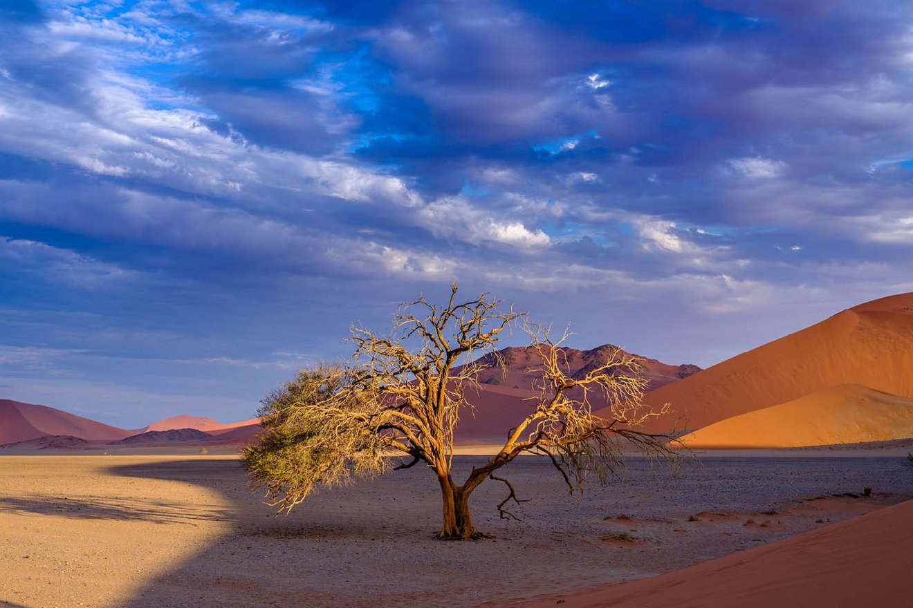 Kambaku-Tours-Namib3