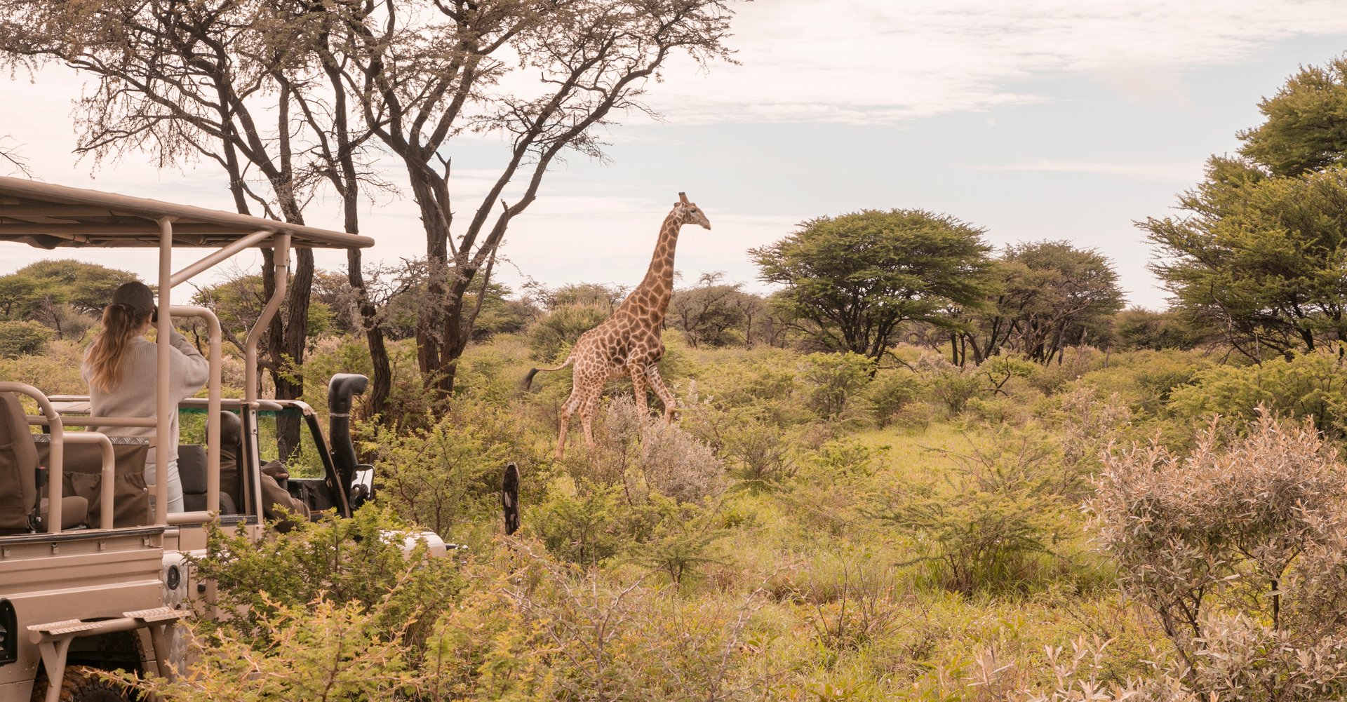 Header-Kambaku-Safari-Naturerlebnis-Namibia