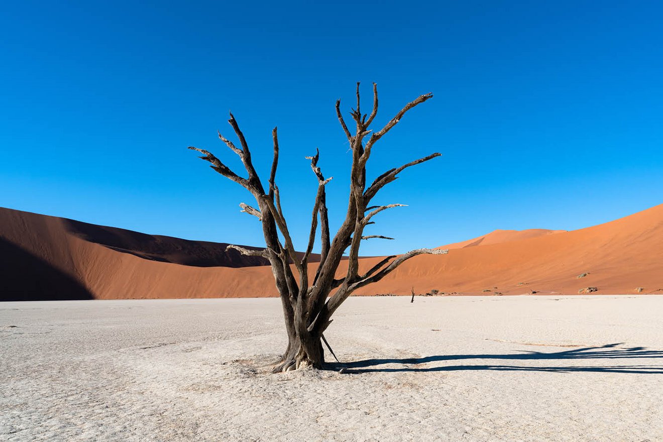 Kambaku-Tours-Namib