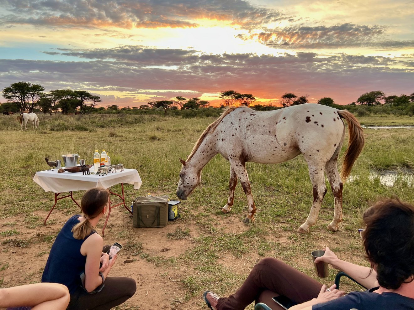 Reiten___Yoga_Namibia_2_237