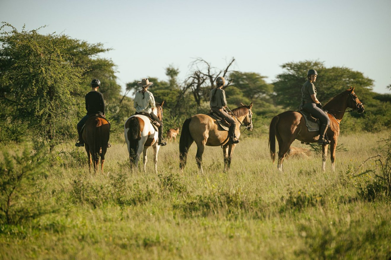 Reiturlaub in Afrika