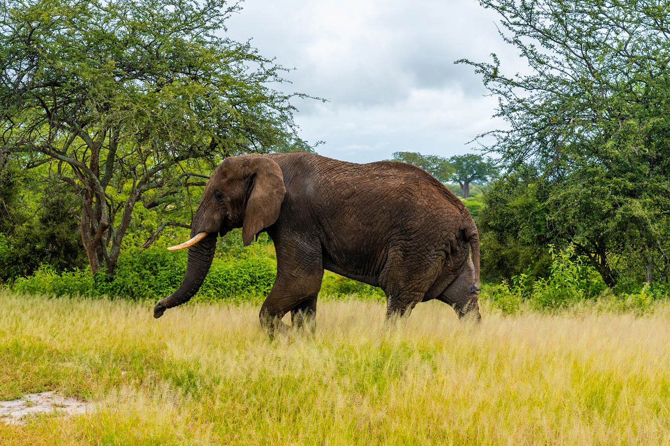 Kambaku-Tours-Caprivi2