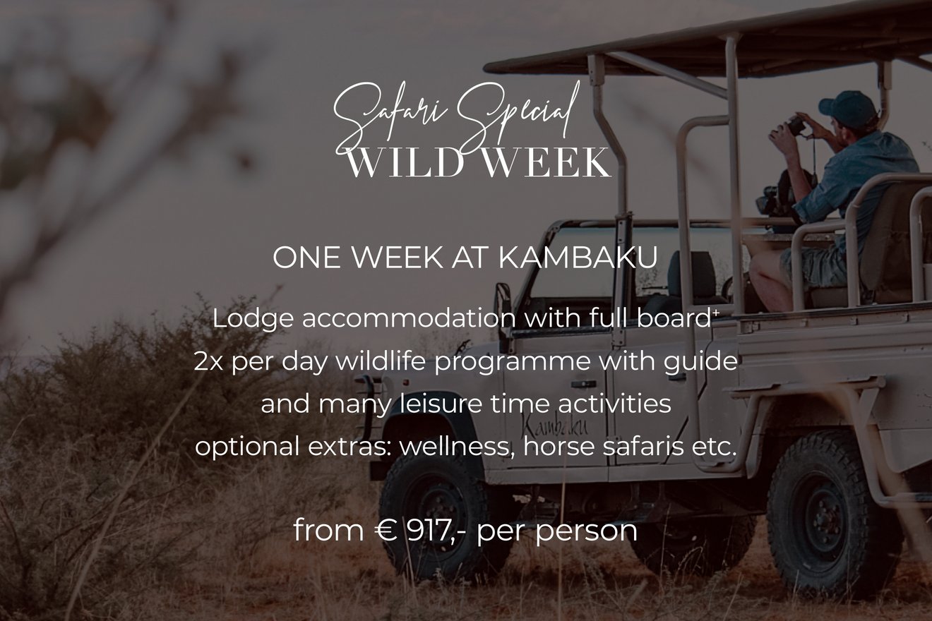 safari deal safari offer budget
