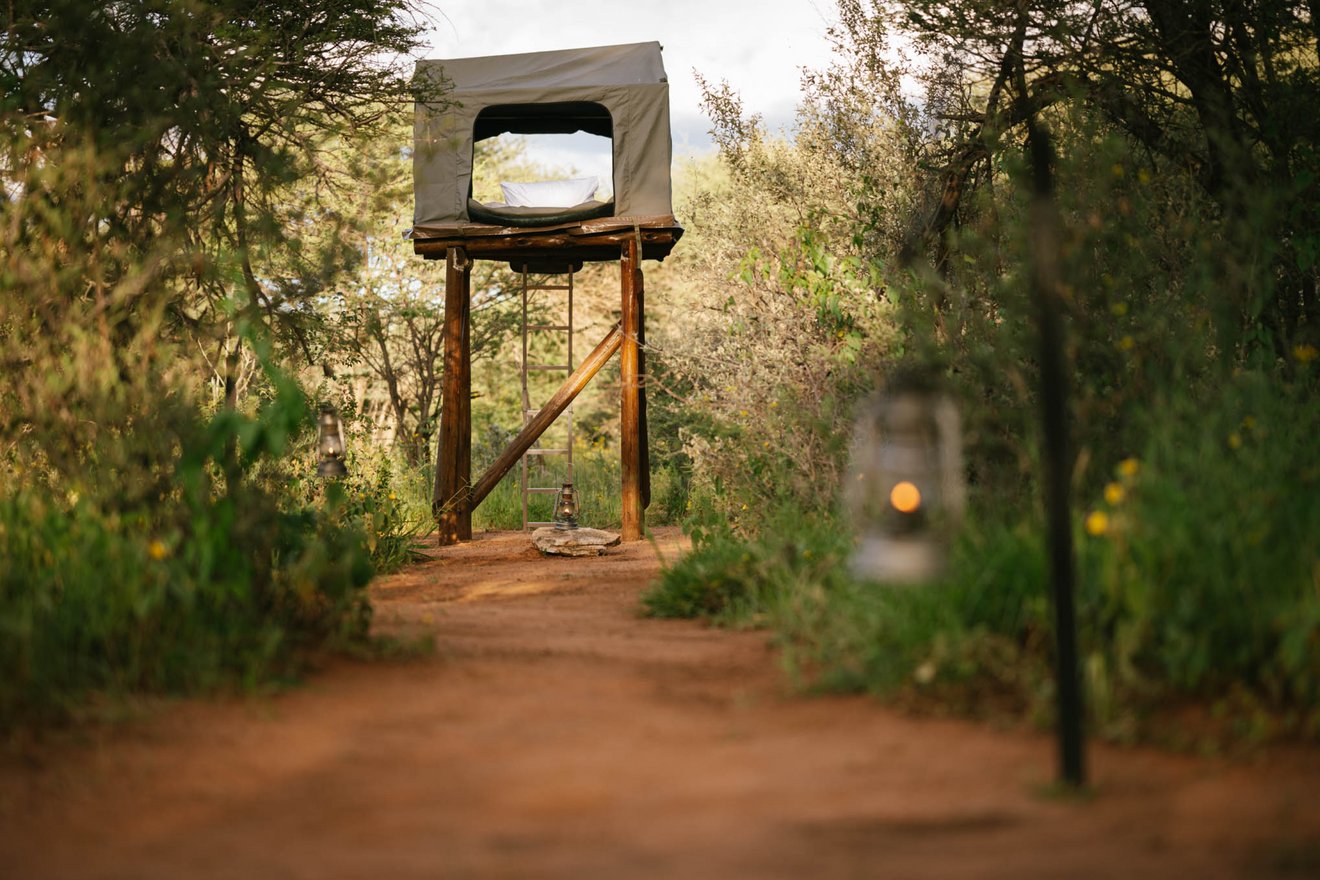 Safari Abenteuer in der Savanne