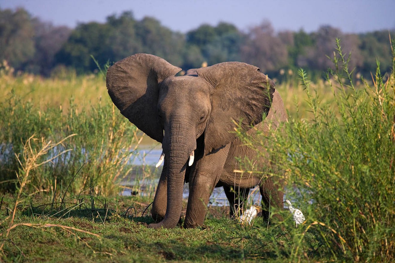 Kambaku-Tours-Caprivi4