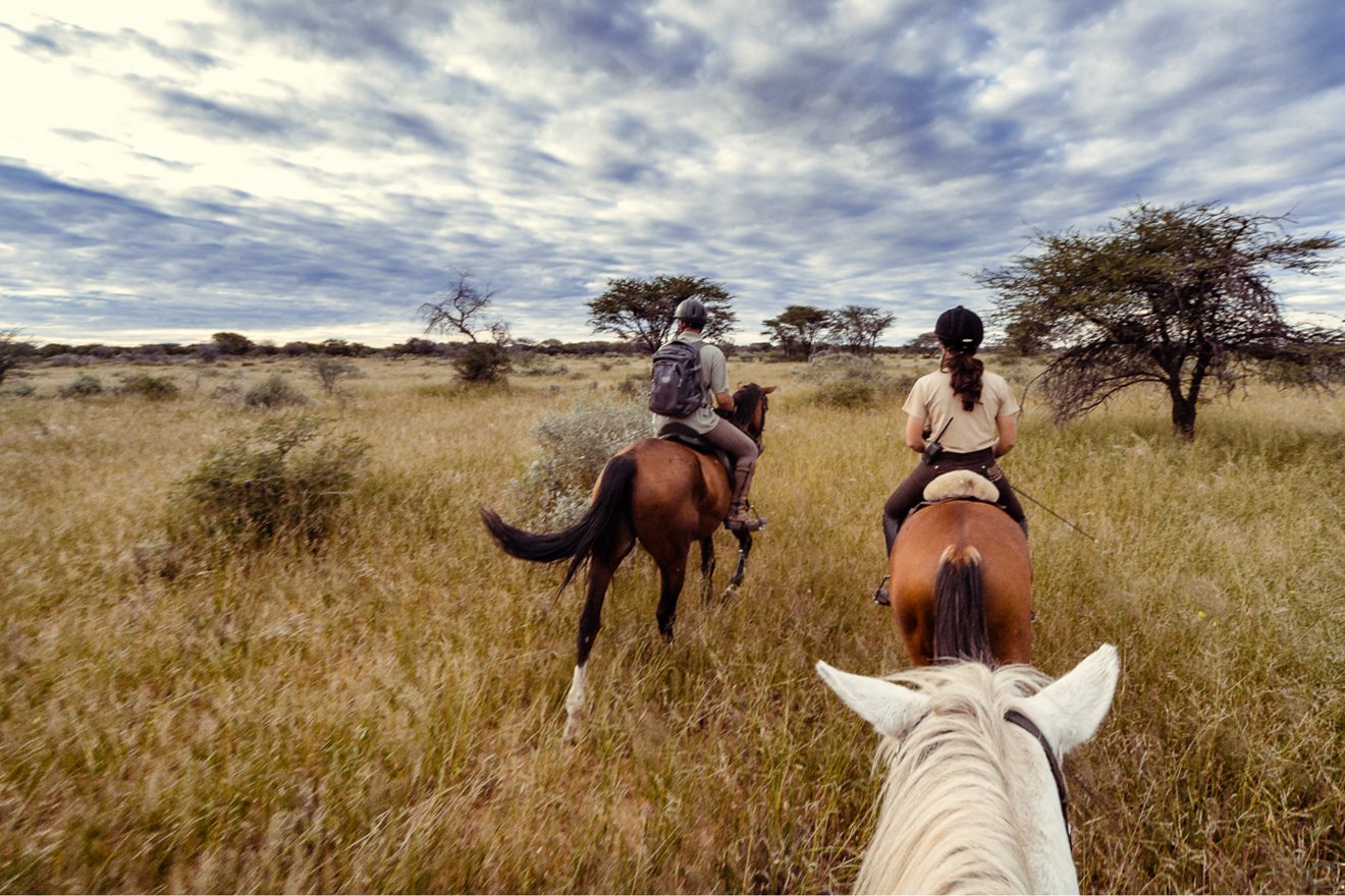 Safariritte in Afrika