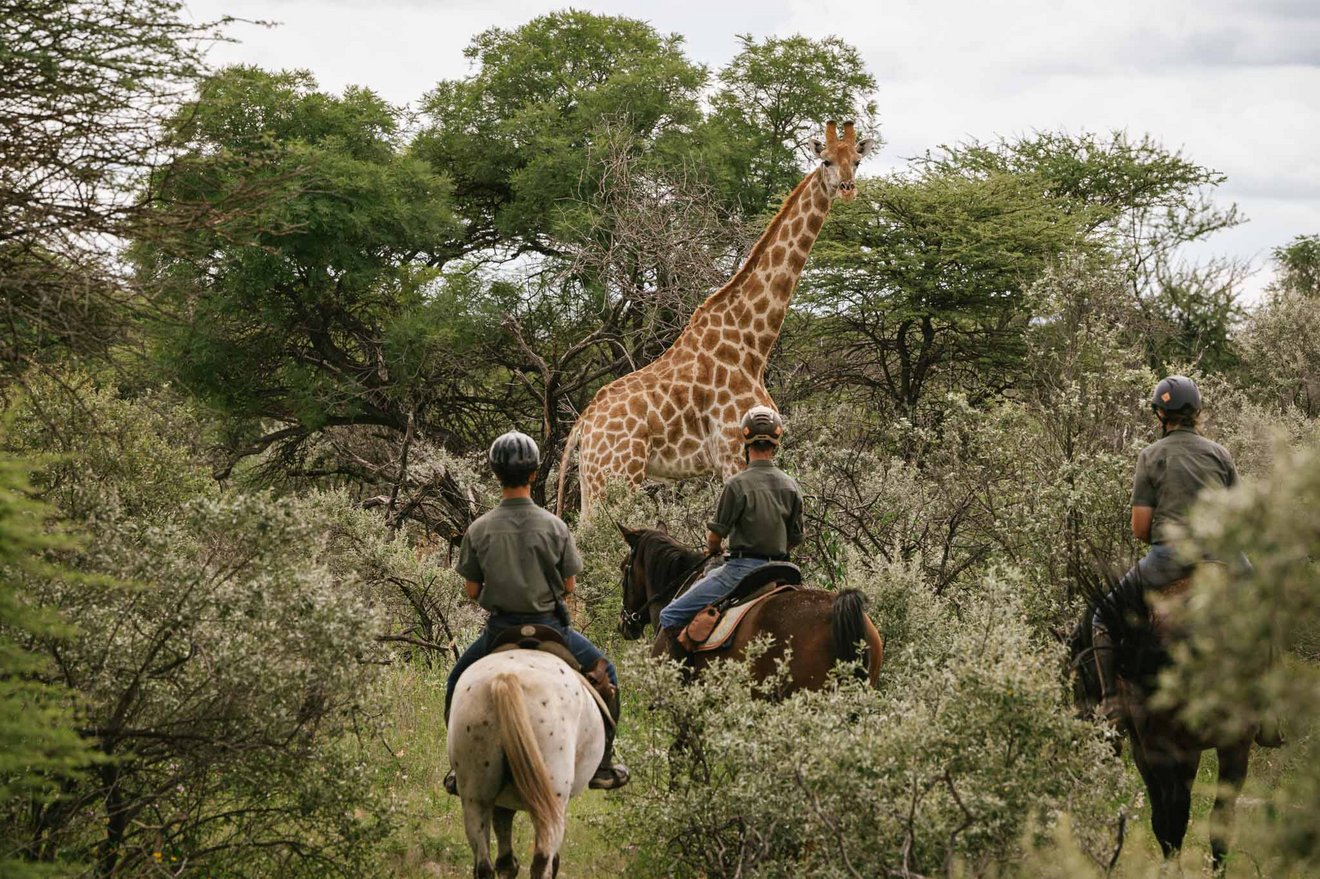 horseback holiday in africa