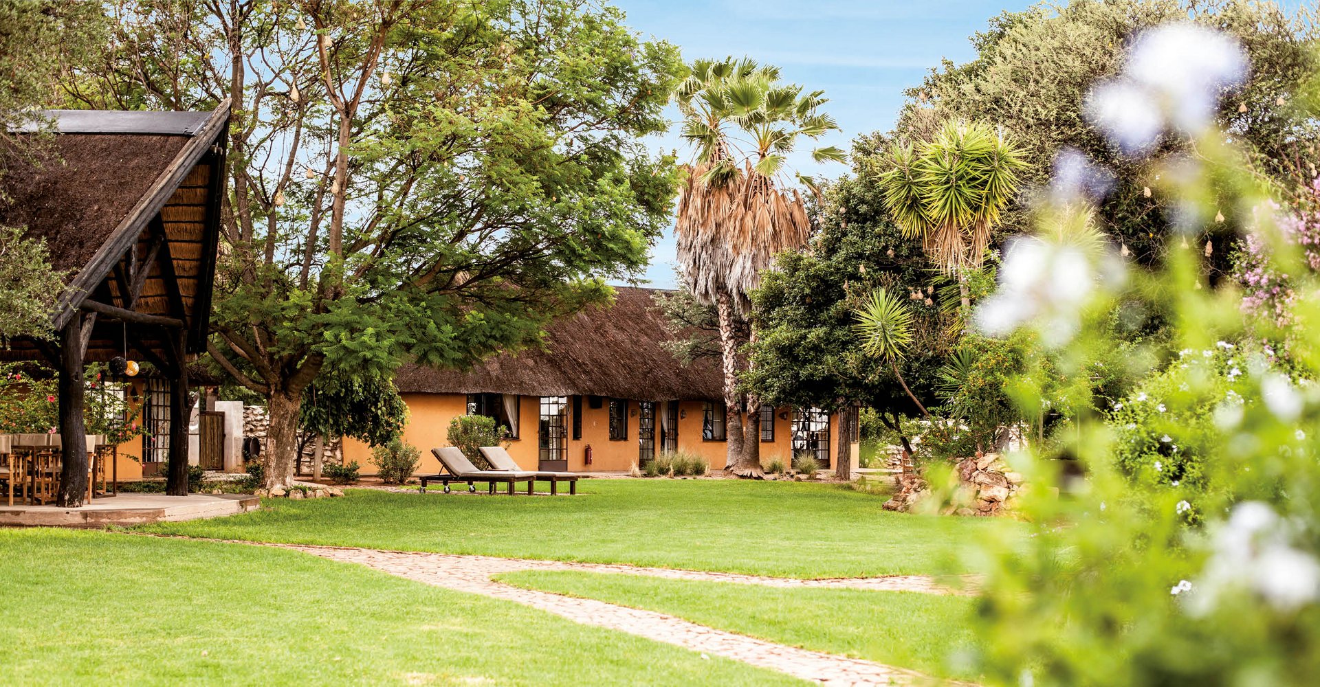 kambaku safari lodge namibia facebook