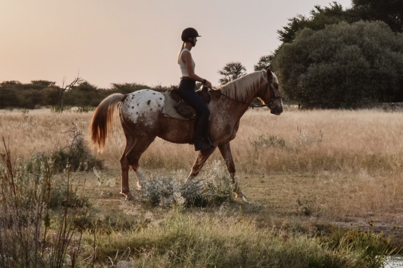 Kambaku-Teaser-horseridingsafari