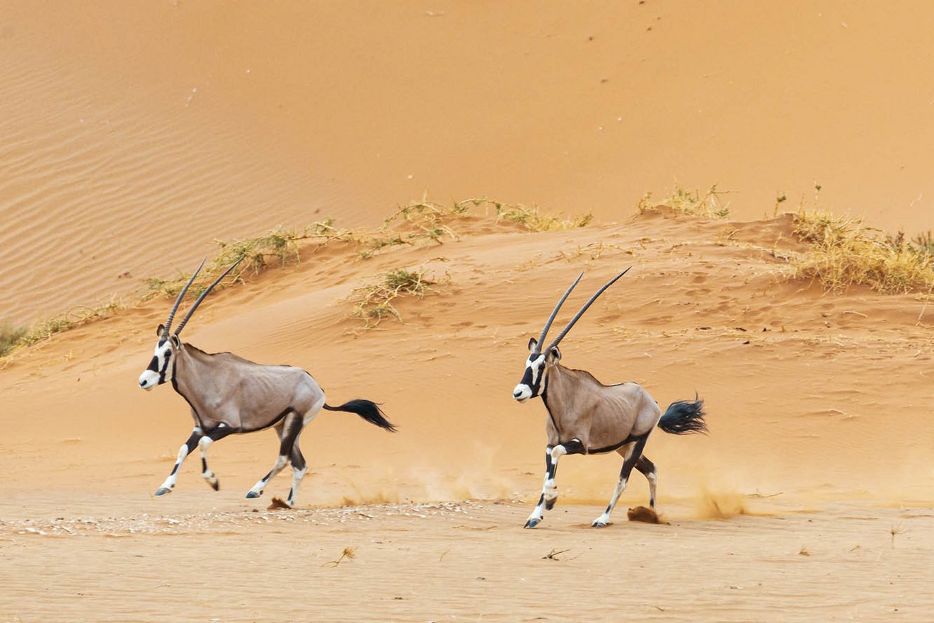 Kambaku-Tours-Namib8