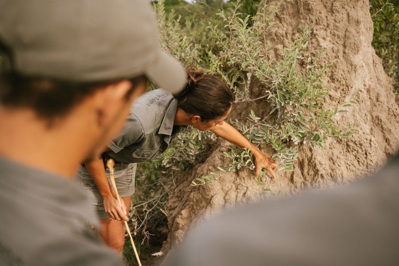 guided hikes in namibia