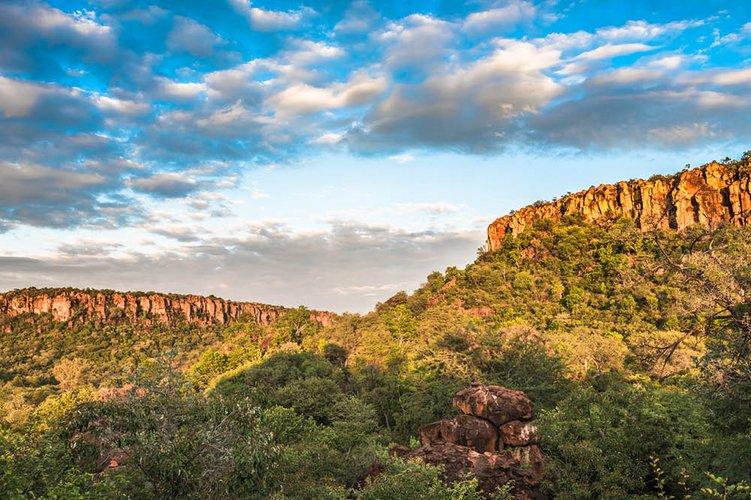 Kambaku-Safari-Waterberg