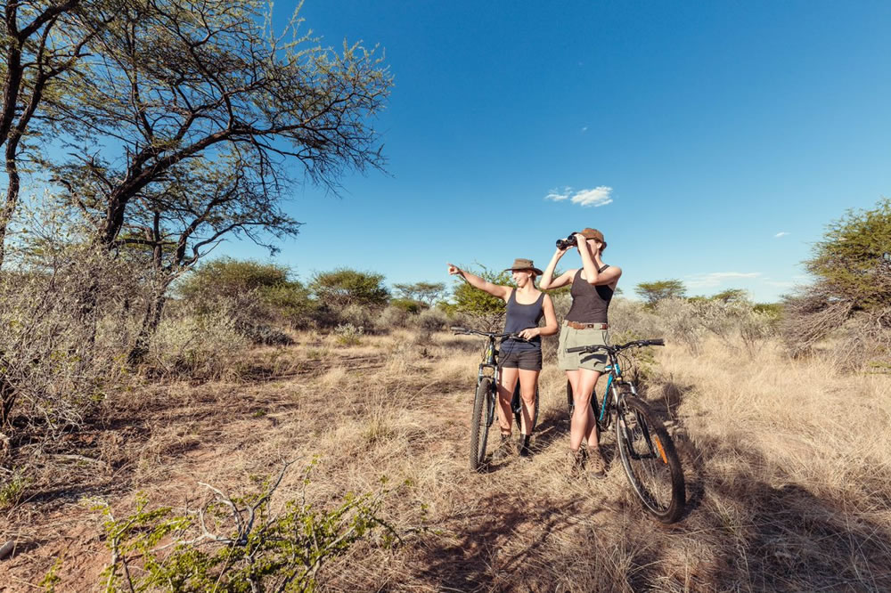 safari adventures in africa