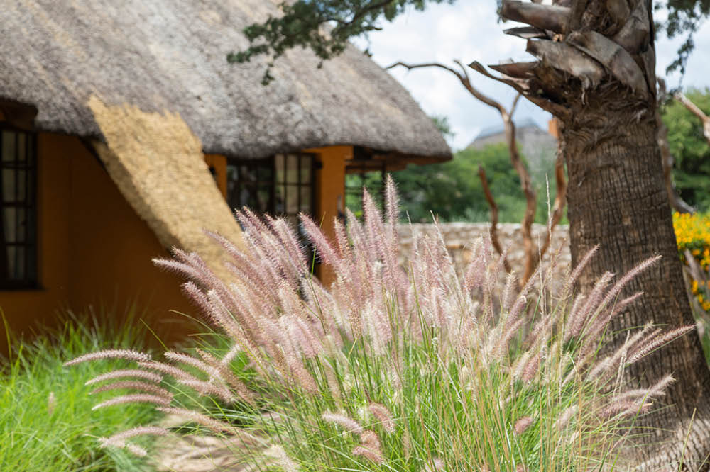 Kambaku-Lodge-Garten