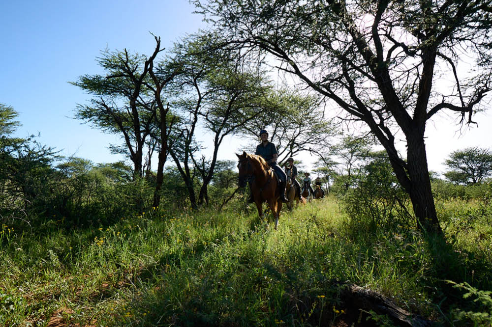 Kambaku-Reitsafari-Beginner-2