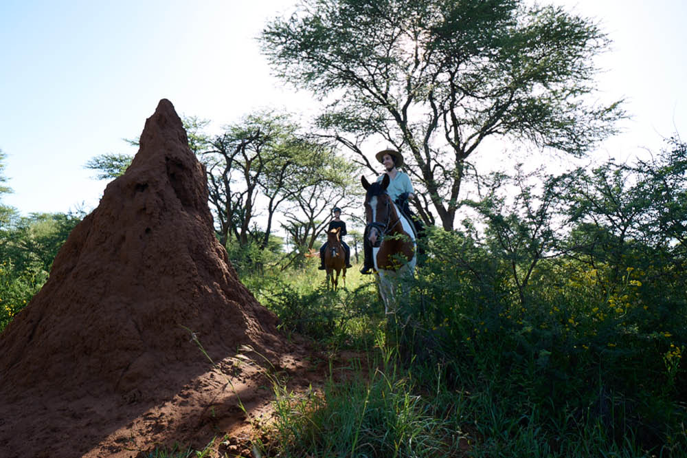 riding safari in africa