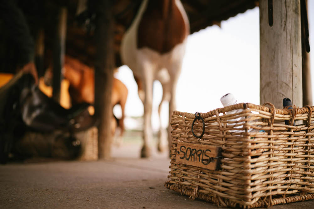 hotel with horses