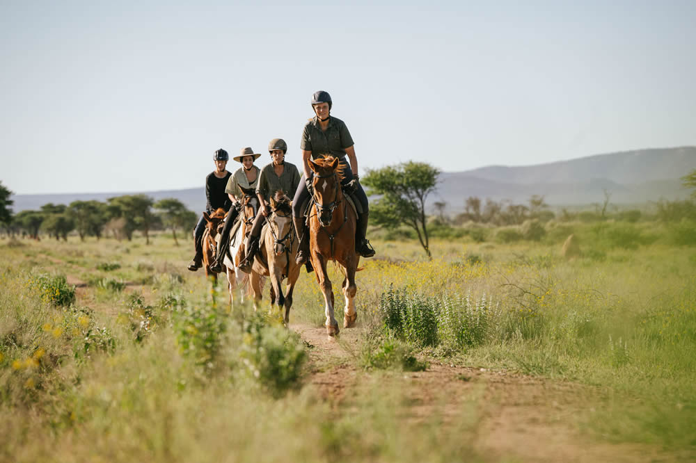 Pferdesafari auf einer Lodge in Namibia