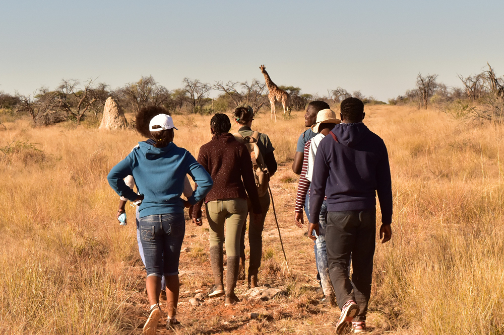 Kambaku-Wanderung-Giraffe