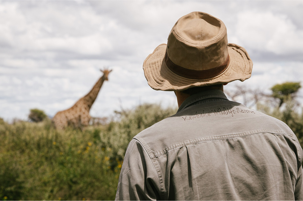 Wanderung mit Wildtiersichtung in Afrika