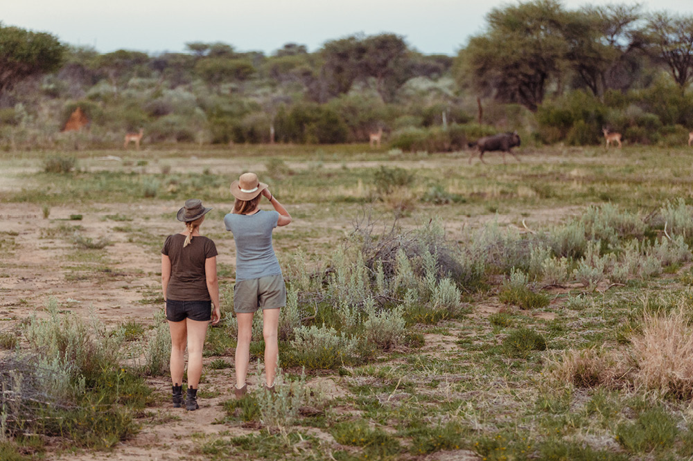 Kambaku-Safari-Hiking-alone