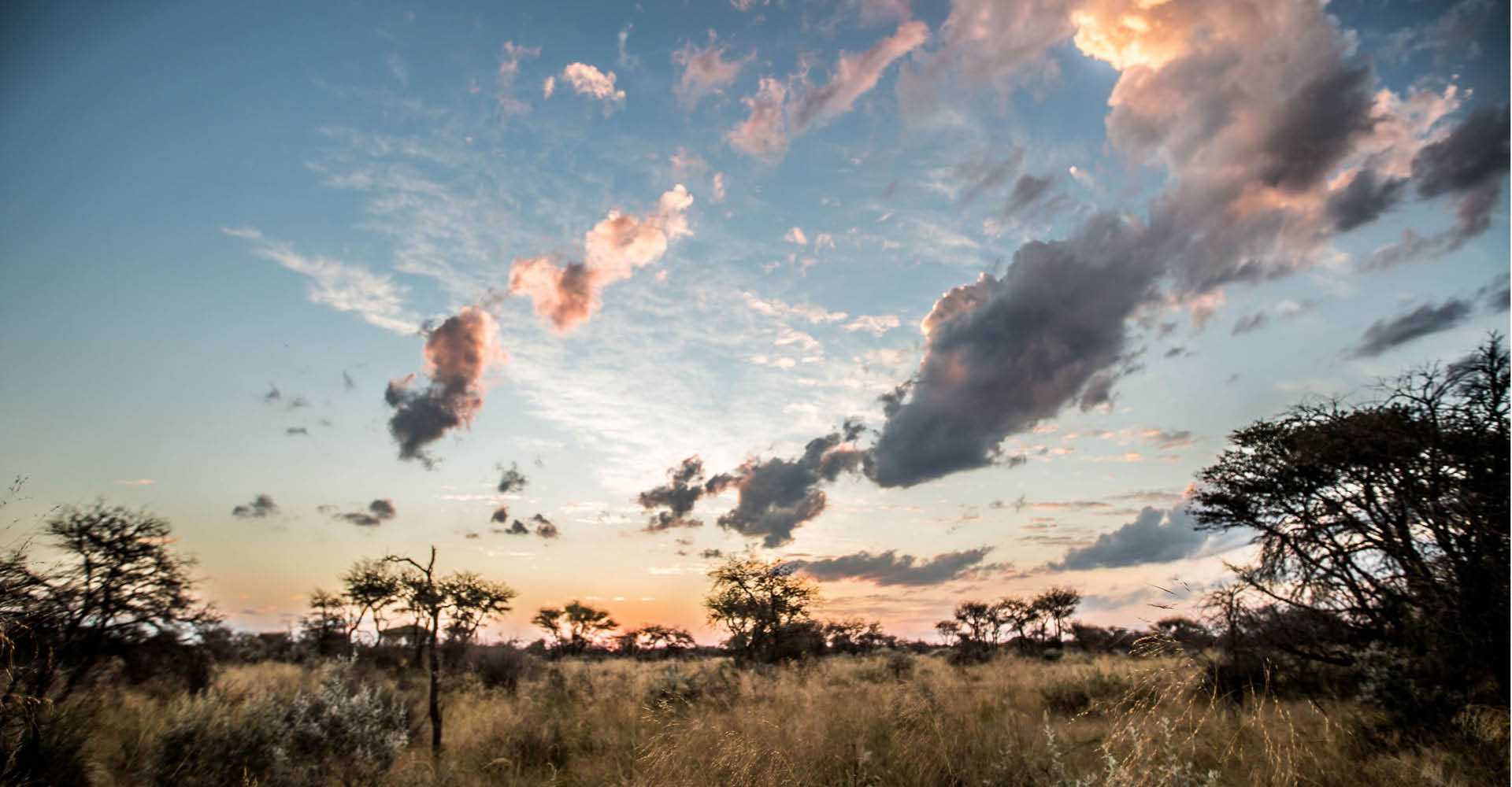 Kambaku-Header-KambakuWildlifeReserve