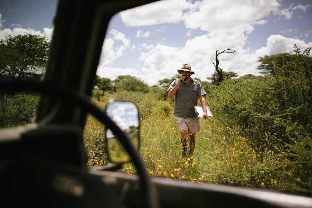 wildlife management in namibia