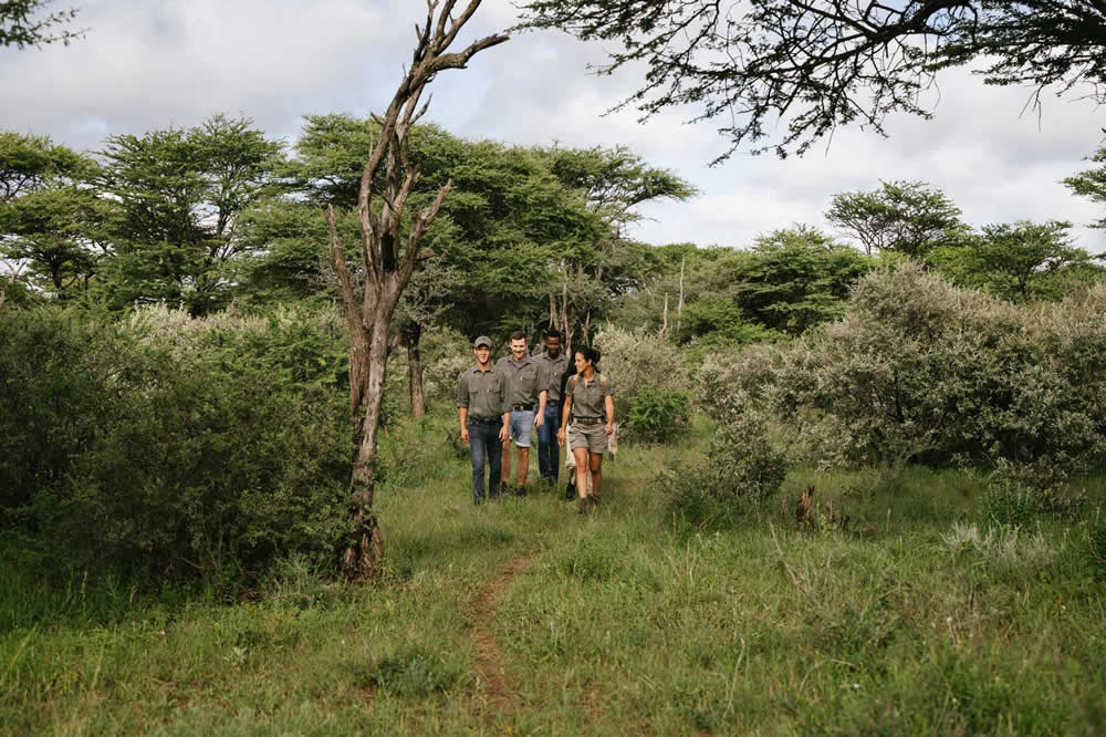guided hikes at kambaku