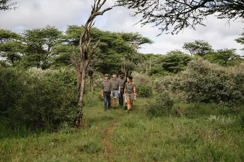 Wandersafari und Buschwanderungen