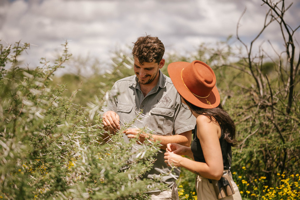 Kambaku-Safari-Private-Guide