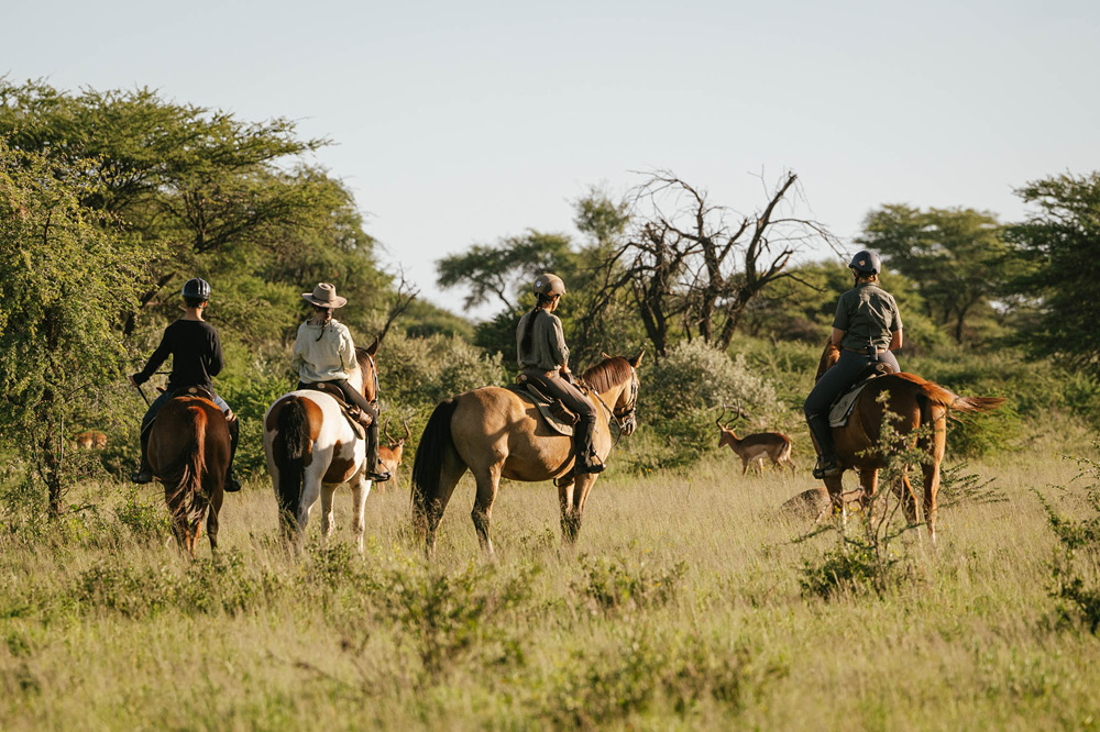 Kambaku-Safari-Ride-Horsesafari