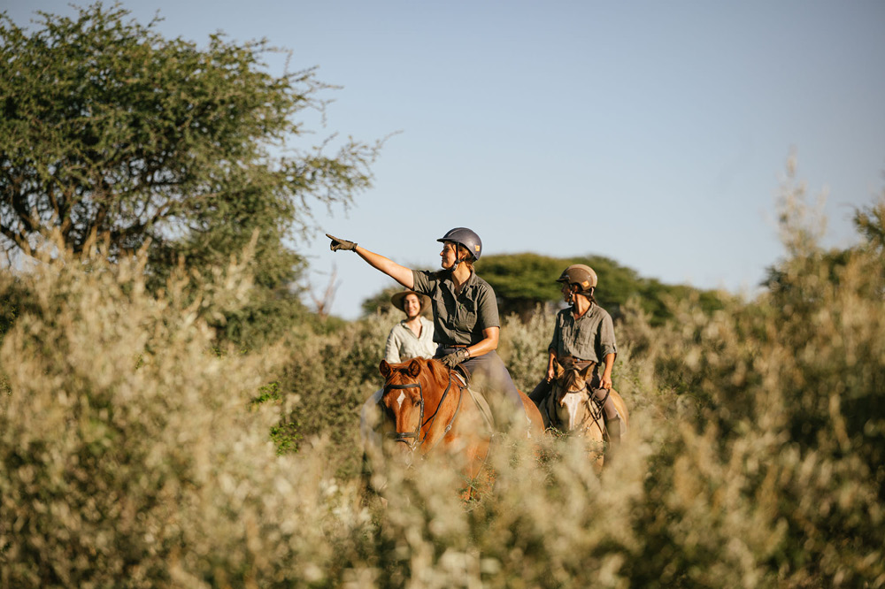 Reiturlaub in Afrika