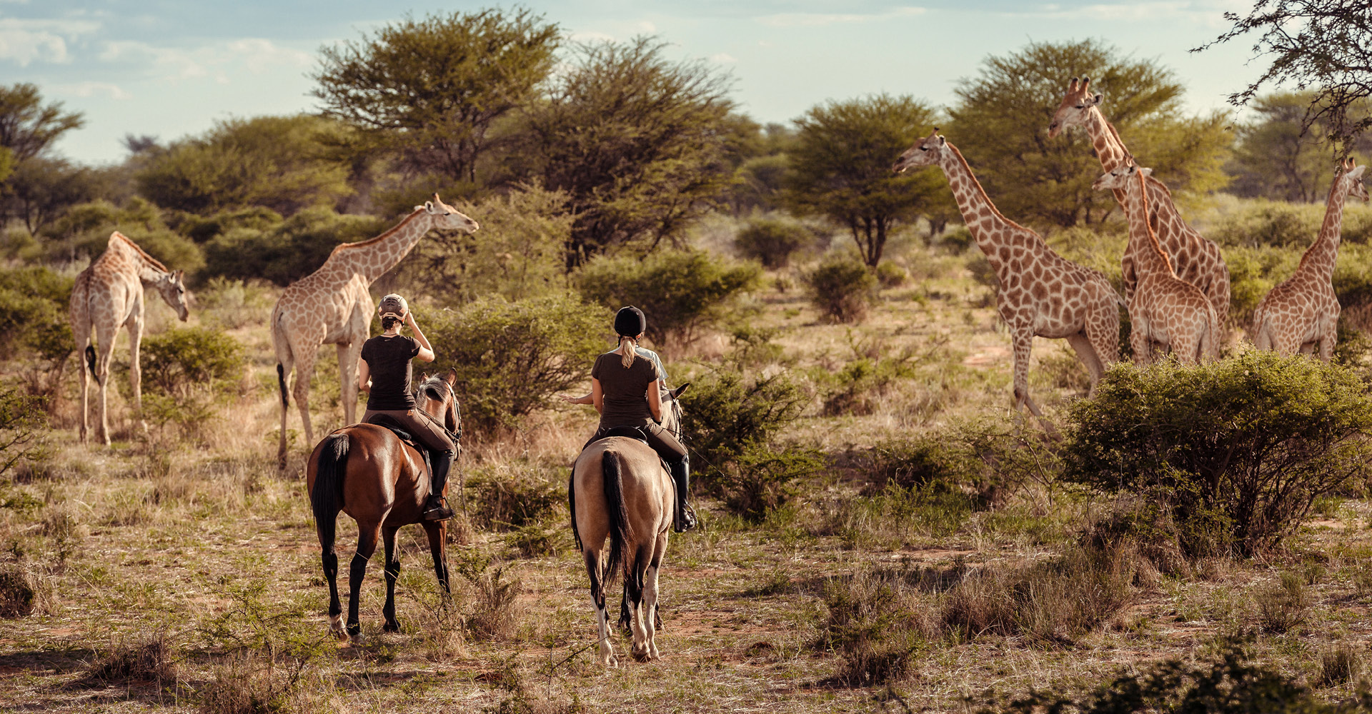 Kambaku-Safari-Headimage-Horsesafari