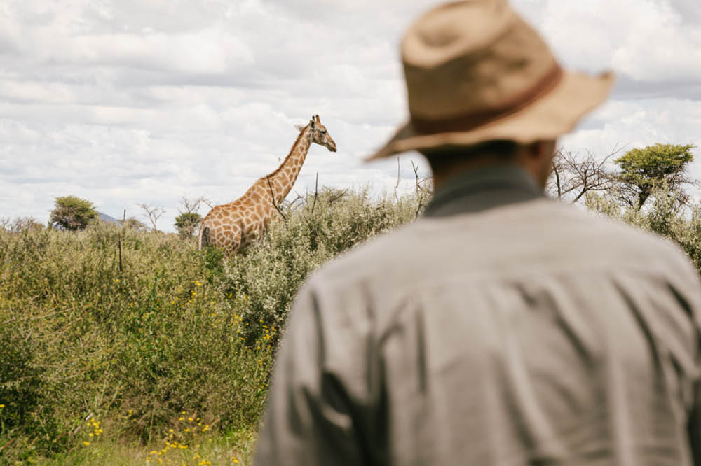 safari with game viewing on tours, horseback safaris and guided walks in the savannah
