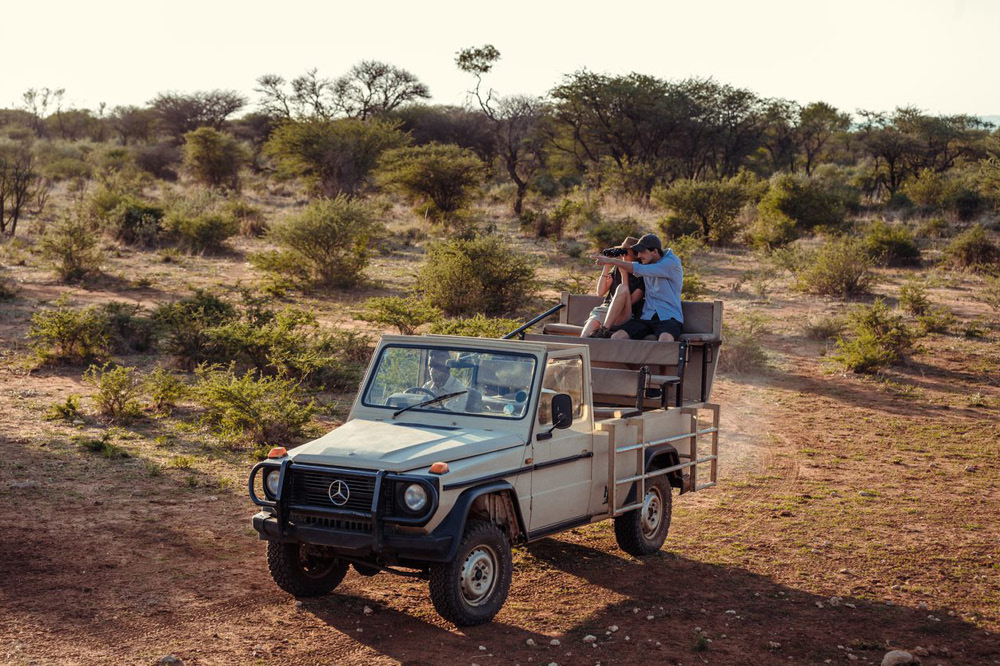Kambaku-Safari-GameDrive