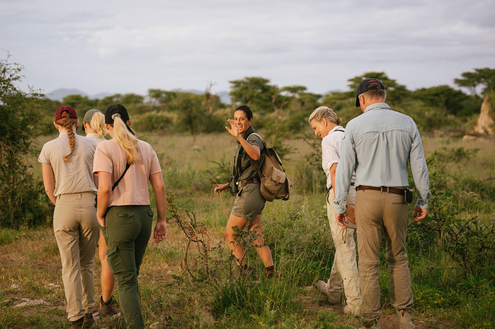 Wandern auf Safari