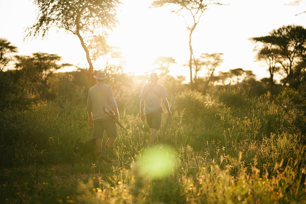 hunting in namibia