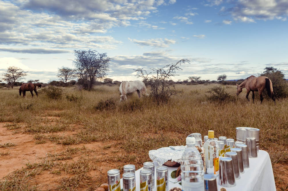 Kambaku-Safari-Special-Abenteuerwoche-Reitsafari