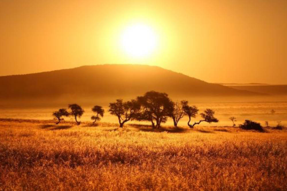 Kambaku-Safari-Namib-Etoscha